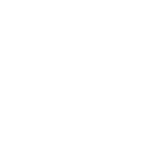 icon-production